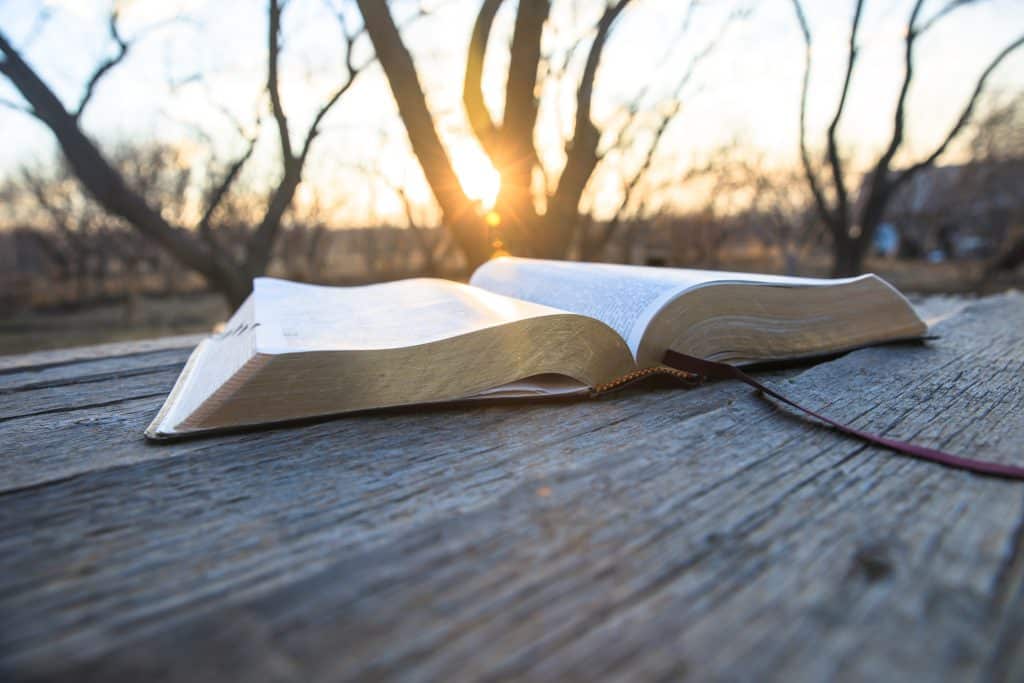 Morning Prayer : A Good Morning Every Morning morning prayer