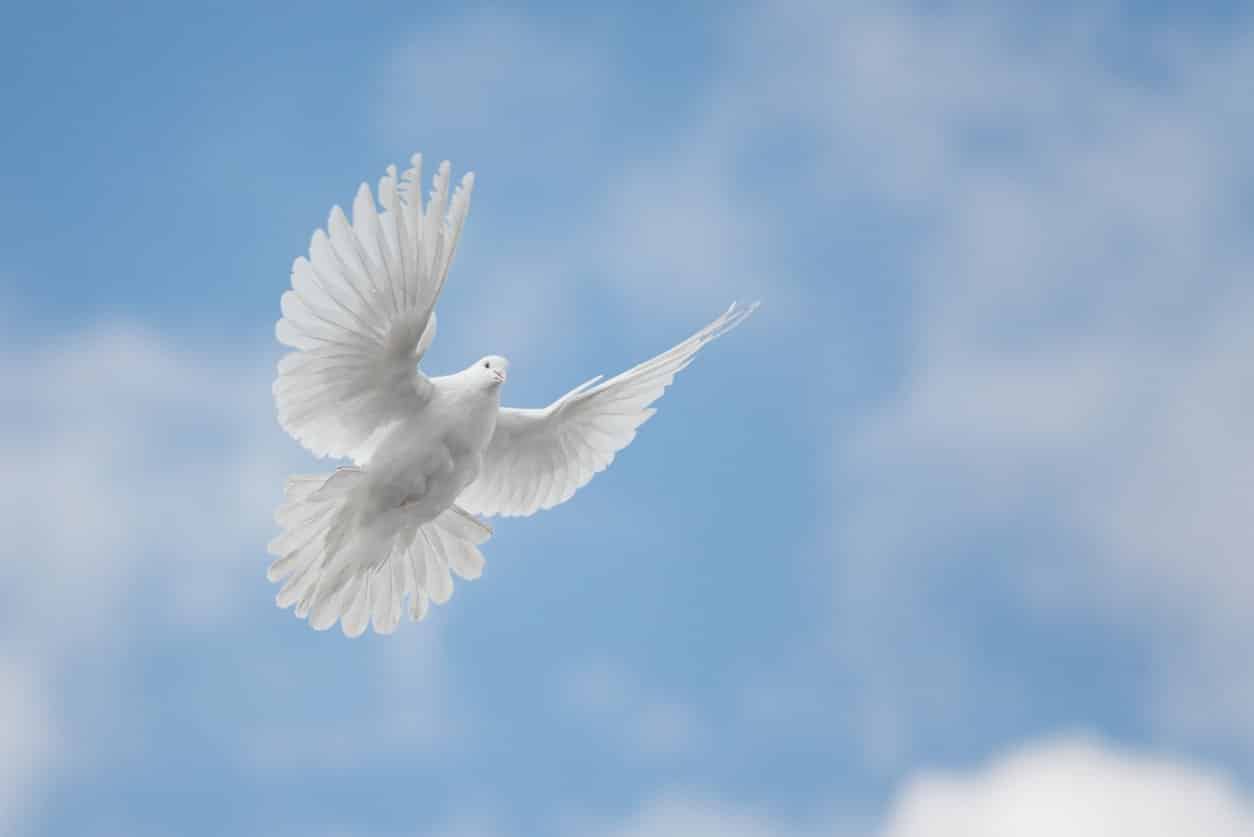daily devotional march 18