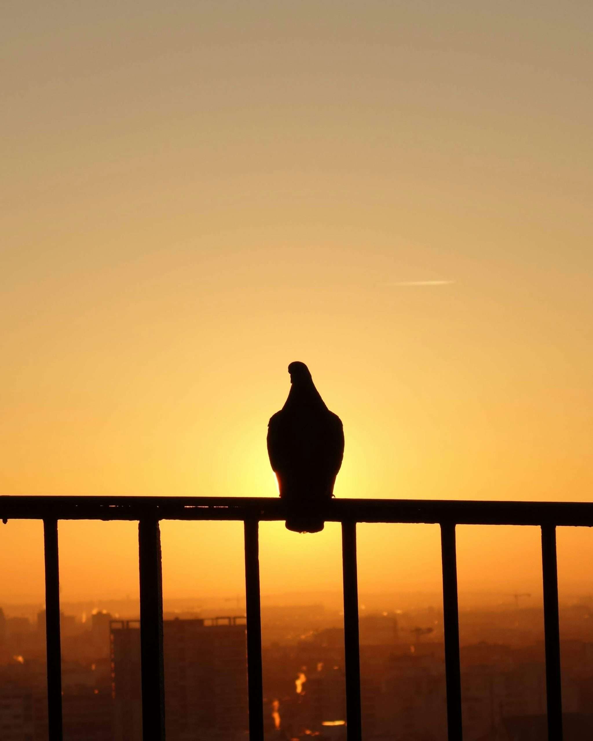 Daily Devotional- June 28, 2026: EVERYTHING IS HAPPENING AT ONCE.