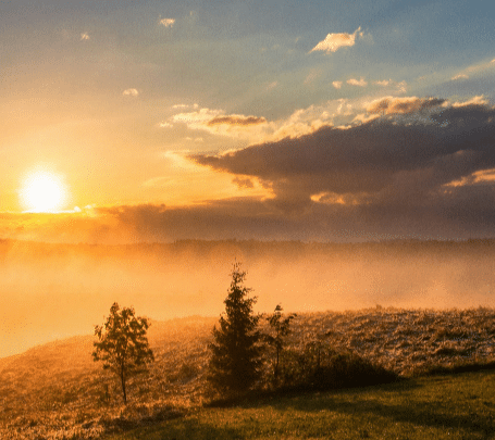Daily Devotional: Finding Calm in God's Presence