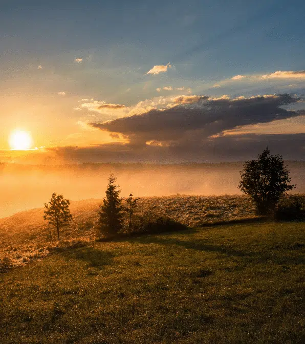Daily devotional sunrise over a peaceful field