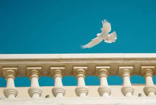 DAILY DEVOTIONAL JULY 11 CURLYNIKKI