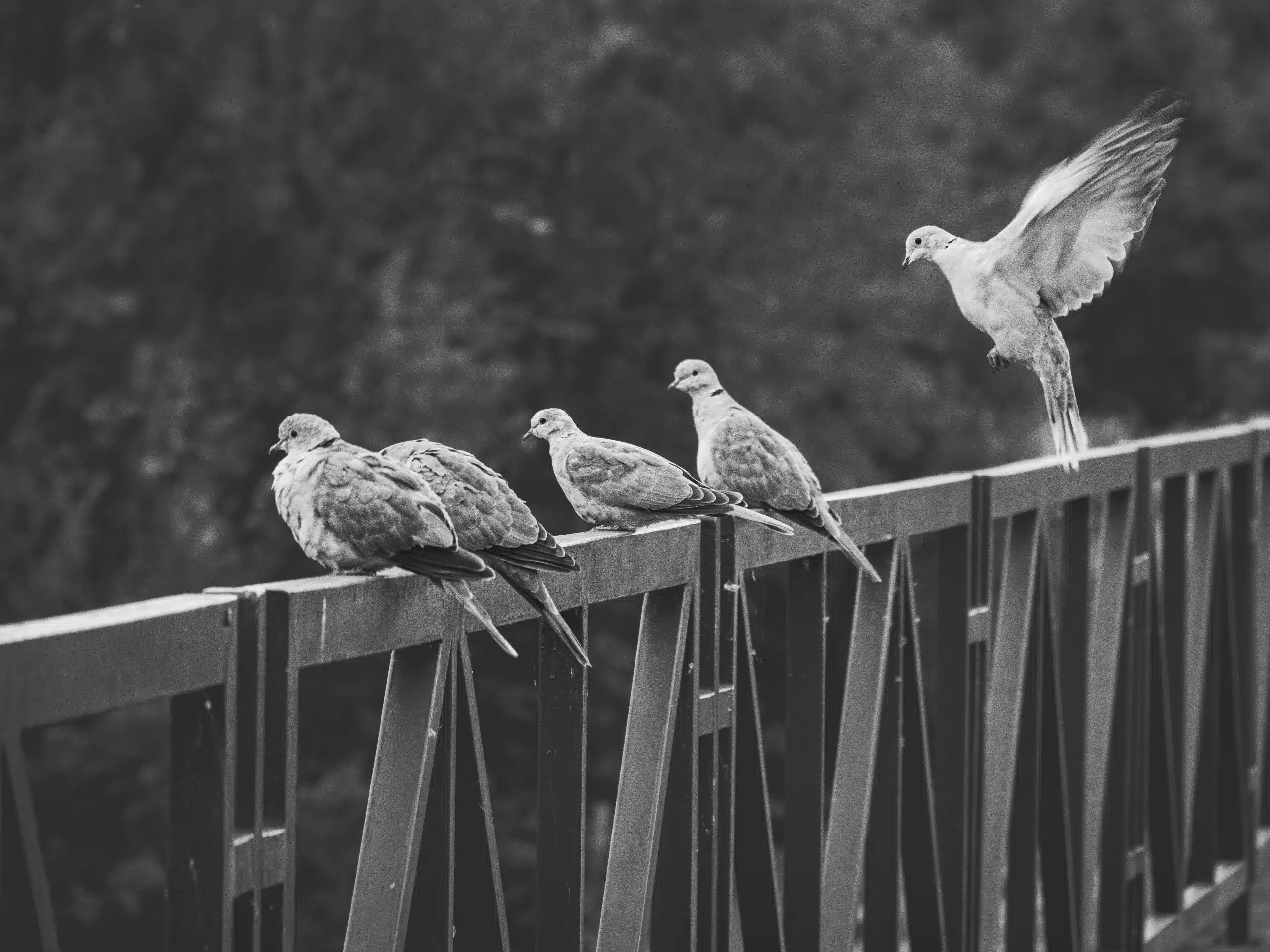 Daily Devotional July 30, 2026: IF YOU DO THIS, WHATEVER YOU ARE SEEKING WILL BE YOURS.