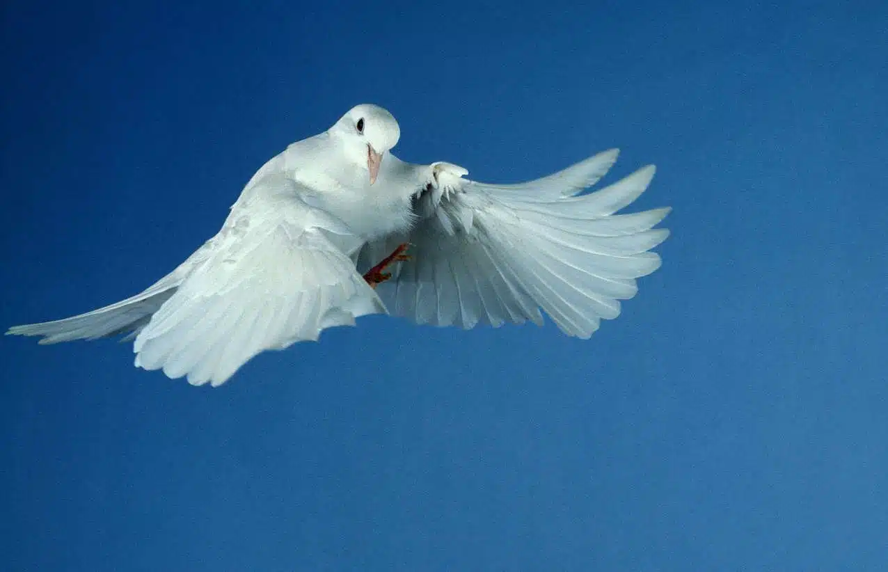 Daily Devotional August 26, 2026: CHANGE YOUR LIFE IN ONE MINUTE.