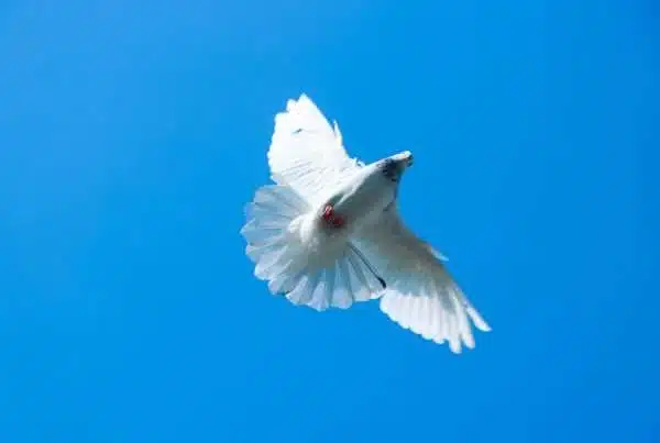 daily devotional august 27 2026
